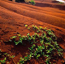 “喜加一”周报（6.20-6.26）：去孤岛当接线员？